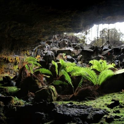 Lava Tube Caves In Tulelake, California