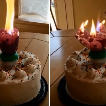 Spinning Flower Candles Will Beautify Every Birthday