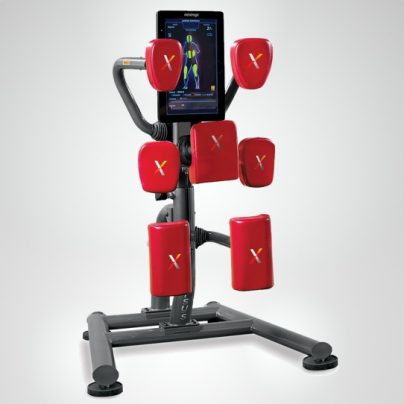 The Mixed Martial Arts Trainer