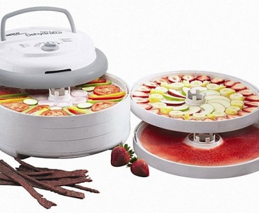 Make Your Own Jerky & Fruit leather With This Food Dehydrator