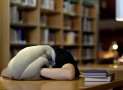 Escape The Buzz – Bury Your Head In The OSTRICH PILLOW