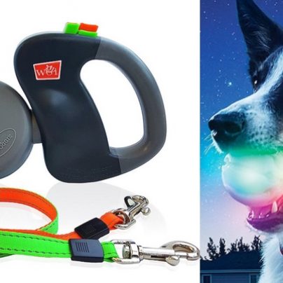 10 Of The Coolest Tech Gadgets You’ll Want For Your Pet!
