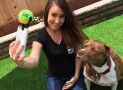 The Pooch Selfie Lets You Take the Perfect Dog Photos with Your Smartphone!