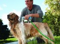 Rapid Bathing System – The Easiest Way To Bathe Your Dog