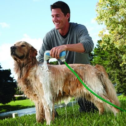 Rapid Bathing System – The Easiest Way To Bathe Your Dog