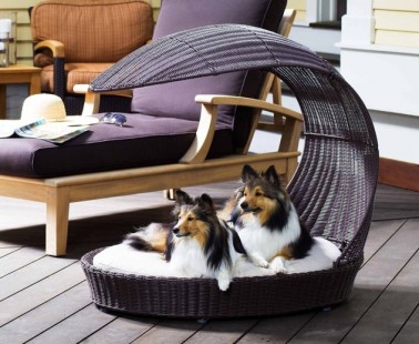 The Refined Canine’s Outdoor Dog Chaise Lounger