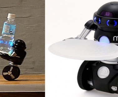Omnibot, The Auto Balancing Japanese Robot