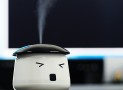 Sauna Boy – Mini USB Powered Humidifier