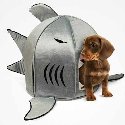 Shark Mouth Escape Pet Bed