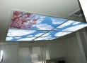 Skypanels Turn Your Ceiling Light Panels Into An Image Of The Sky