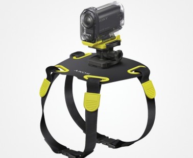 Sony Action Camera Mount for Dogs