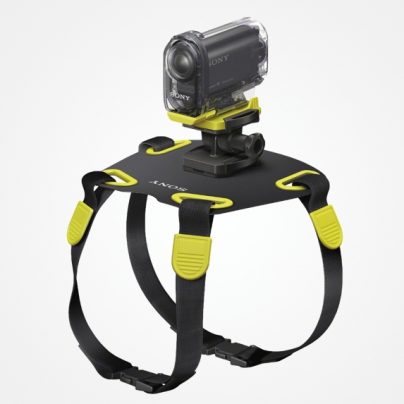 Sony Action Camera Mount for Dogs