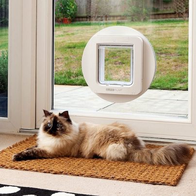 The SureFlap Microchip Pet Door Lets You Control Which Pets Go in and Out of Your Home