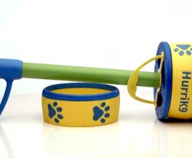 This Simple Toy is Sure to Become Your Dog’s New Favorite!