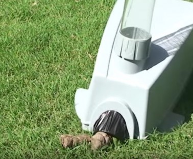 This Cordless Vacuum Sucks Up Your Pooch’s Poop In No Time!