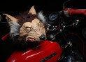 Insanity Wolf Motorcycle Helmet