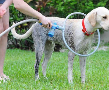 The Woof Washer Will Wow Your Dirty Dogs